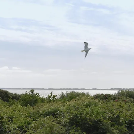 Surfbude 02 Apartamento *