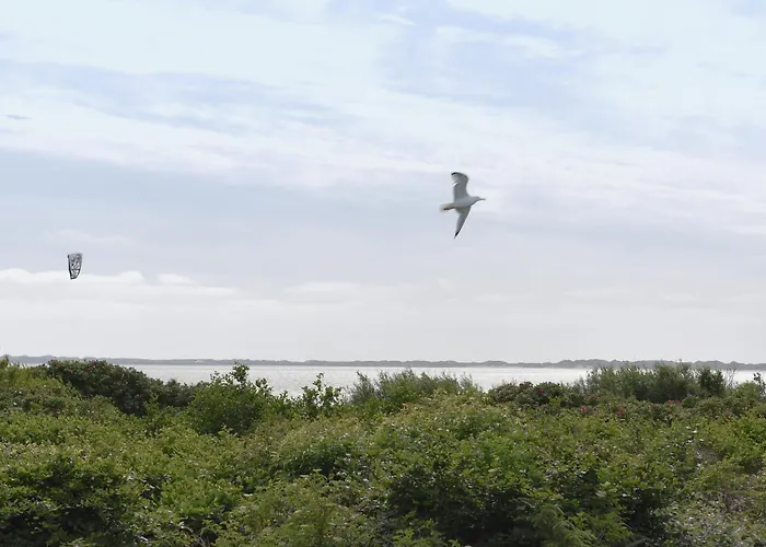 Surfbude 02 Apartamento *